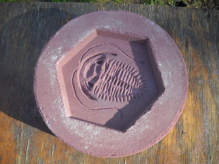 trilobite mold