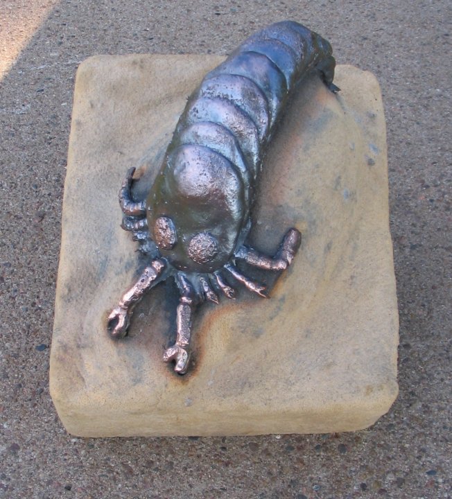 copper Eurypterid