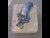 Eurypterid, copper casting