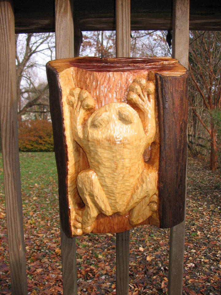 cedar treefrog, James