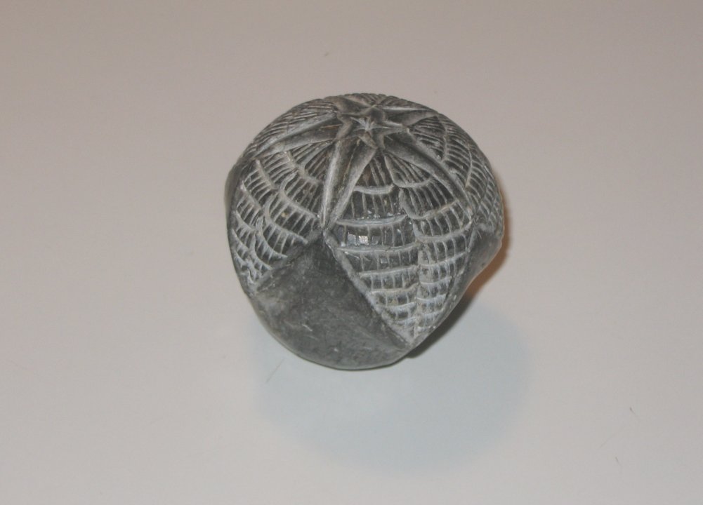 blastoid, soapstone
