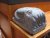 cuttlefish, soapstone carving